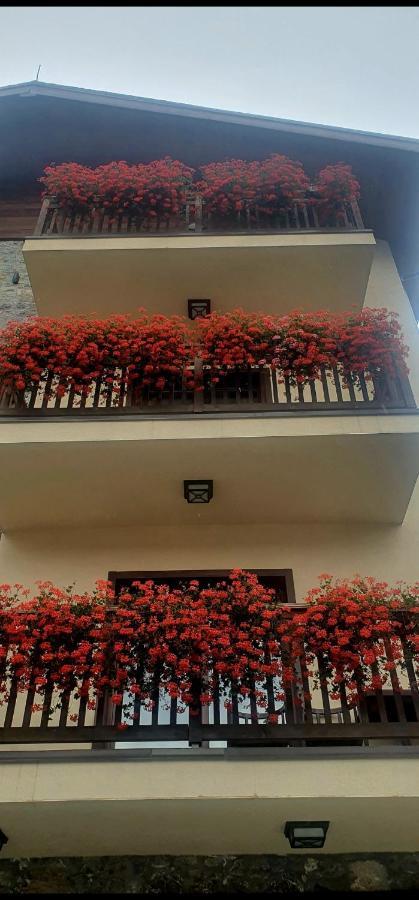 Apartmani Aleksandra Kolasin Ngoại thất bức ảnh